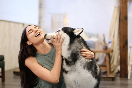 Young woman with cute Husky dog at home. Pet adoptionの写真素材