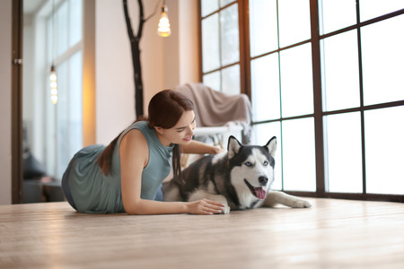Young woman with cute Husky dog near window at home. Pet adoptionの写真素材