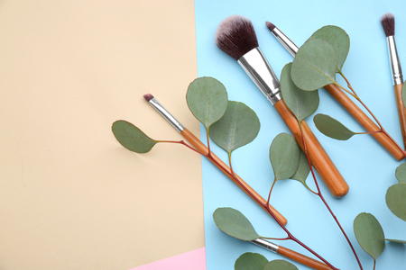 Different brushes of professional makeup artist and twigs on color backgroundの写真素材