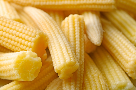 Fresh young baby corn, closeupの写真素材
