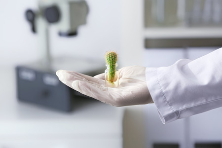 Lab worker holding bottle with cactus on blurred background, closeupの写真素材