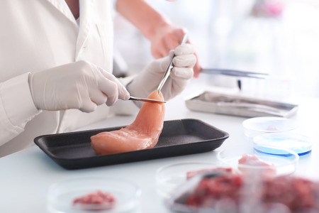 Scientist examining meat sample in laboratoryの写真素材