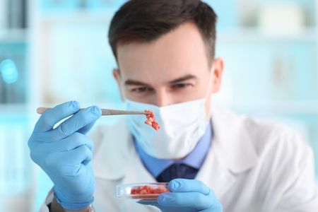 Scientist examining meat sample in laboratoryの写真素材