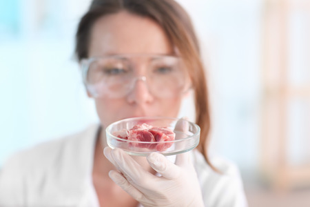 Scientist holding Petri dish with meat sample in laboratoryの写真素材