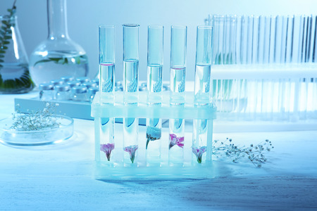 Test tubes with flowers in rack on tableの写真素材