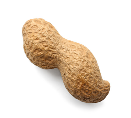 Tasty peanut on white background