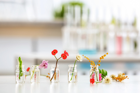 Flowers in glass bottles on tableの写真素材