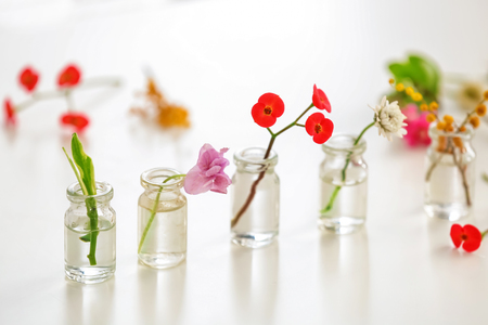 Flowers in glass bottles on light backgroundの写真素材