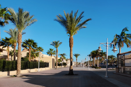 Beautiful view of street with tropical plants at resortの写真素材