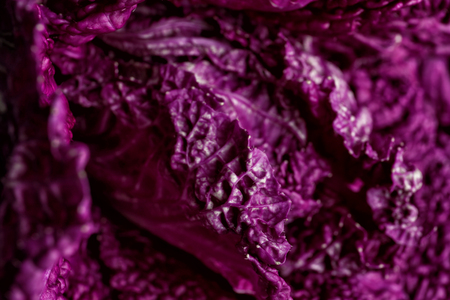 Texture of fresh purple cabbage, closeup