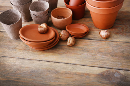 Pots for gardening with bulbs on wooden background