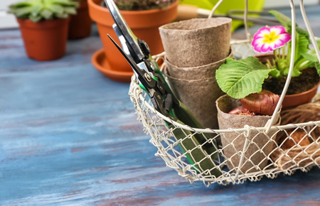 Metal basket with flower, pots and gardening tools on wooden tableの写真素材