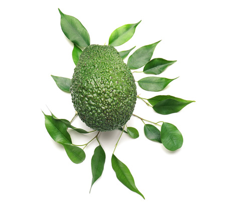 Ripe avocado with leaves on white background