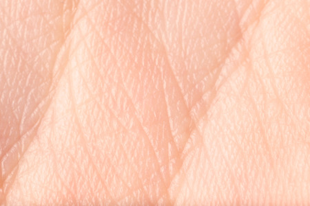 Texture of human skin, closeupの写真素材
