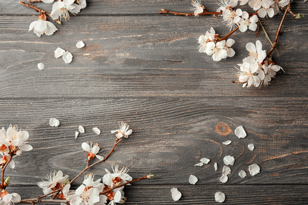 Beautiful blossoming branches on wooden background