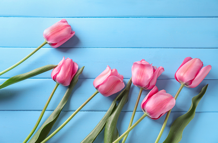 Beautiful tulips on color wooden backgroundの写真素材