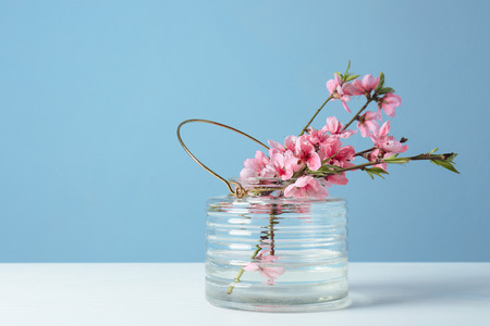 Vase with beautiful blossoming branches on table against color backgroundの写真素材