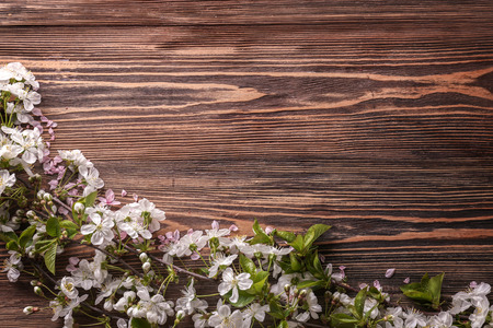 Beautiful blossoming branches on wooden backgroundの写真素材