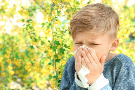 Little boy with nose wiper near blooming tree. Allergy conceptの写真素材