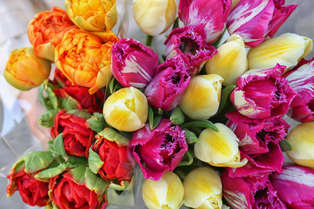Bouquets of beautiful tulips, closeupの写真素材