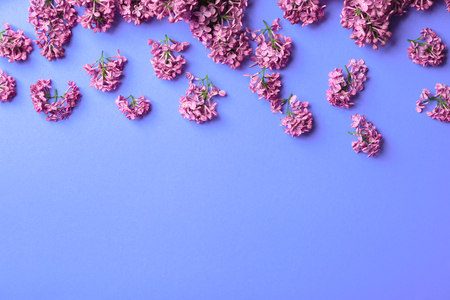Beautiful blossoming lilac on color backgroundの写真素材