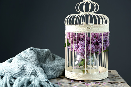 Cage with beautiful blossoming lilac on table  against color backgroundの写真素材