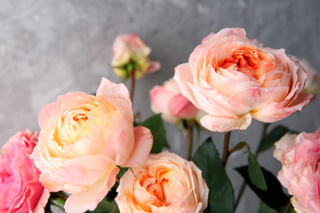 Bouquet of beautiful roses on grey background, closeupの写真素材