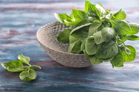 Bowl with fresh basil on wooden backgroundの写真素材