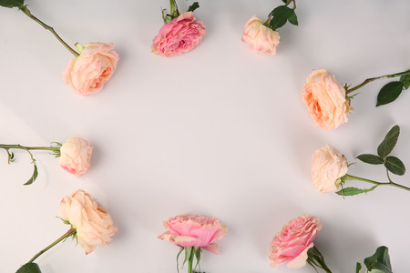 Frame made of beautiful roses on light background
