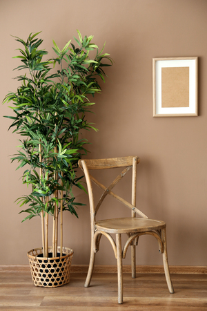 Wooden chair with plant near color wallの写真素材
