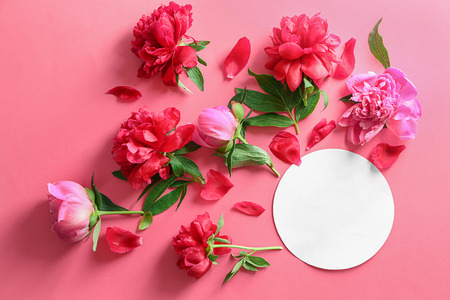 Composition with beautiful peony flowers and blank card on color backgroundの写真素材