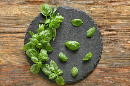 Slate plate with fresh green basil leaves on wooden backgroundの写真素材
