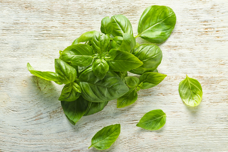 Fresh green basil leaves on wooden backgroundの写真素材