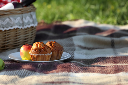 Plate with tasty muffins prepared for picnic in parkの写真素材