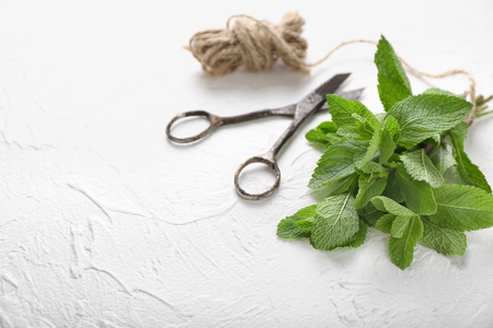 Fresh mint, scissors and thread on light backgroundの写真素材