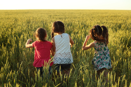 Cute little girls playing in fieldの写真素材