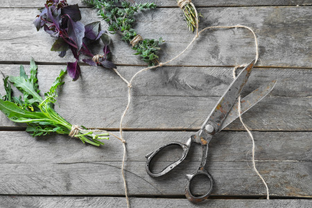 Bunches of fresh herbs with scissors and rope on wooden backgroundの写真素材