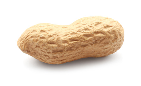 Unpeeled peanut on white backgroundの写真素材