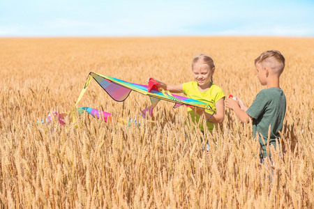 Cute little children with kite in wheat field on sunny dayの写真素材