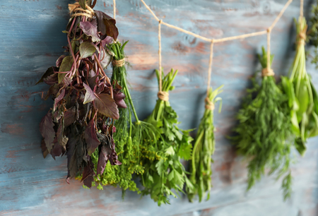 Bunches of fresh herbs hanging near wooden wallの写真素材