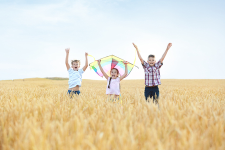 Cute little children with kite in fieldの写真素材