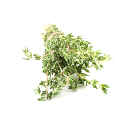 Fresh thyme on white backgroundの写真素材