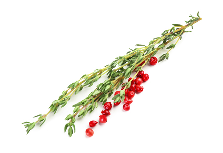 Fresh thyme with pink pepper on white backgroundの写真素材