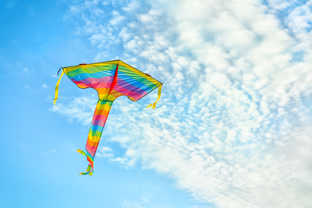 Beautiful kite flying in blue skyの写真素材