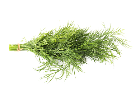 Fresh dill on white backgroundの写真素材