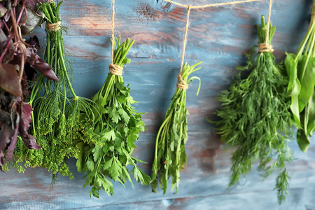 Bunches of fresh herbs hanging on wooden backgroundの写真素材