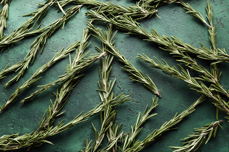 Fresh rosemary on green backgroundの写真素材