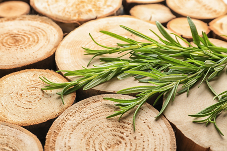 Fresh rosemary on wooden backgroundの写真素材