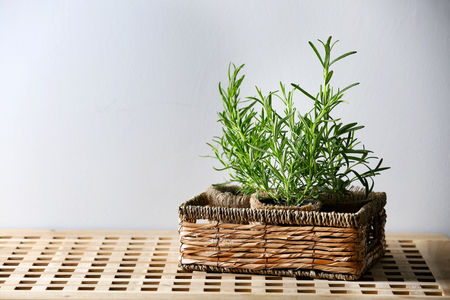 Basket with fresh rosemary on light backgroundの写真素材
