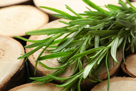 Fresh rosemary on wooden background, closeupの写真素材